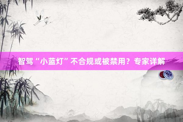 智驾“小蓝灯”不合规或被禁用？专家详解