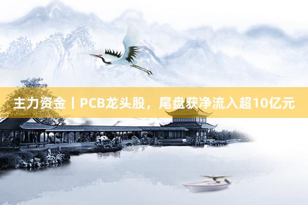 主力资金丨PCB龙头股，尾盘获净流入超10亿元