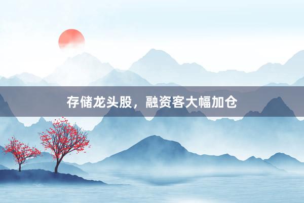 存储龙头股，融资客大幅加仓