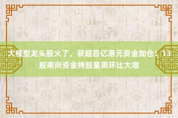 大模型龙头股火了，获超百亿港元资金加仓！13股南向资金持股量周环比大增