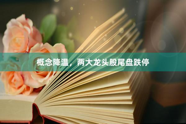 概念降温，两大龙头股尾盘跌停