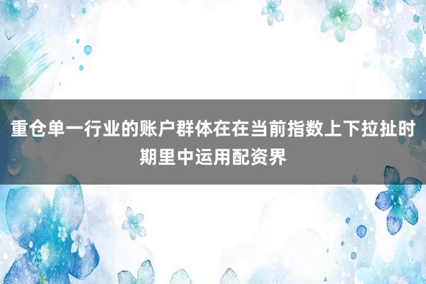 重仓单一行业的账户群体在在当前指数上下拉扯时期里中运用配资界
