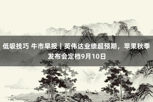 低吸技巧 牛市早报｜英伟达业绩超预期，苹果秋季发布会定档9月10日