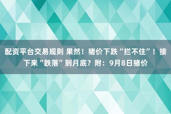 配资平台交易规则 果然！猪价下跌“拦不住”！接下来“跌落”到月底？附：9月8日猪价